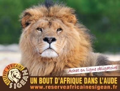 Le Limouzy - Proche Des Halles Appartement *